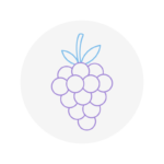 Free Fruit Icon