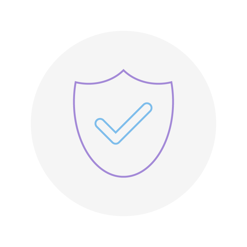 IT Security Icon